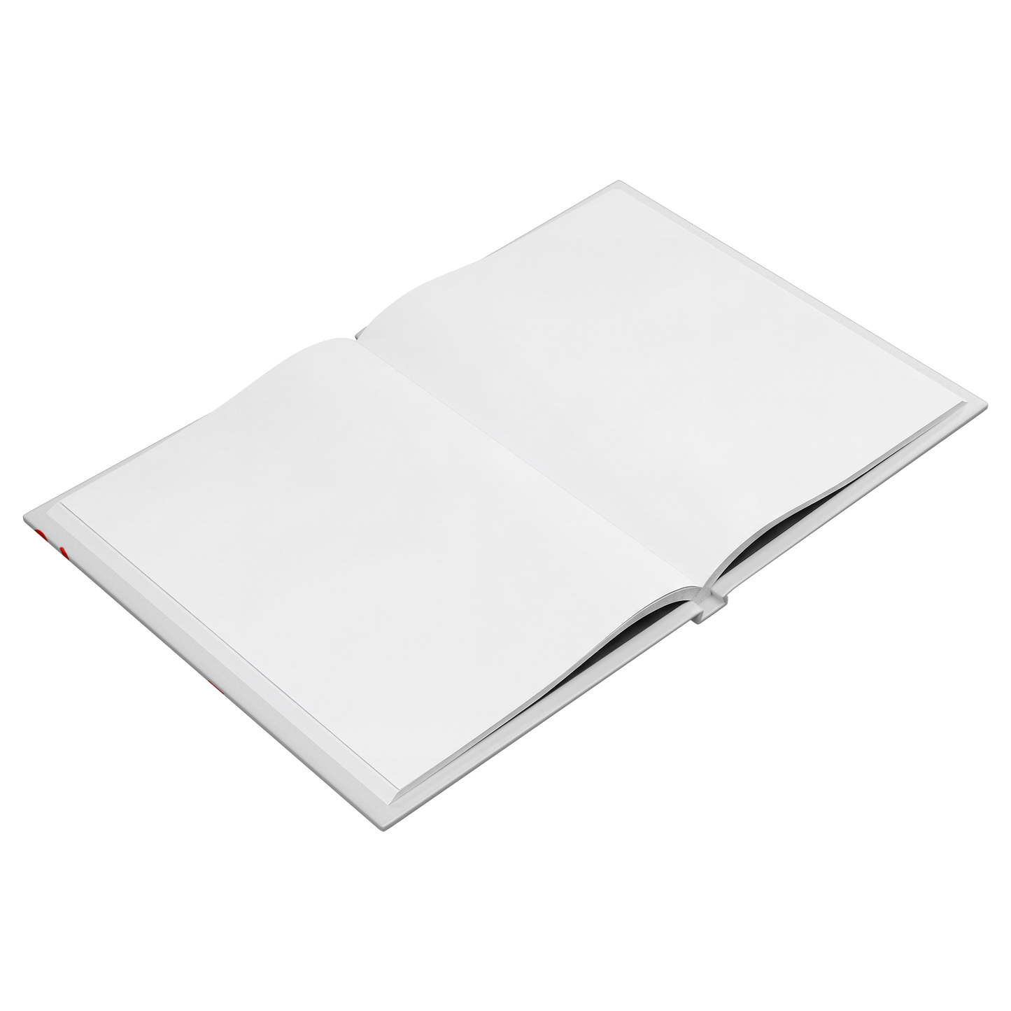 Switzerland_Journal_Test_Open_Pages_Angle_-_Blank_Mockup.png_15985657