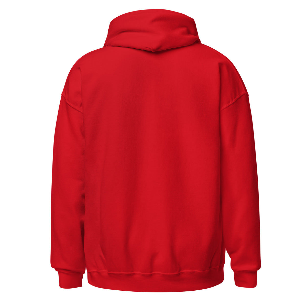 Switzerland souvenir hoodie